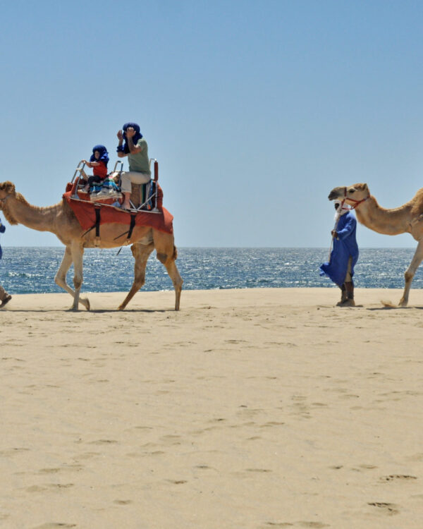 destin-access-camellosoutdoor-loscabos-mexico-tafer-resorts