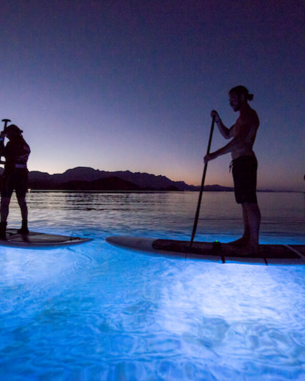 destin-access-led-paddle-board-en-danzante-bay-loreto-baja-sur-mexico