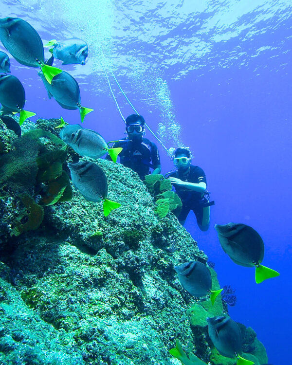 destin-access-loscabosadventuresnuba-mexico-tafer-resorts