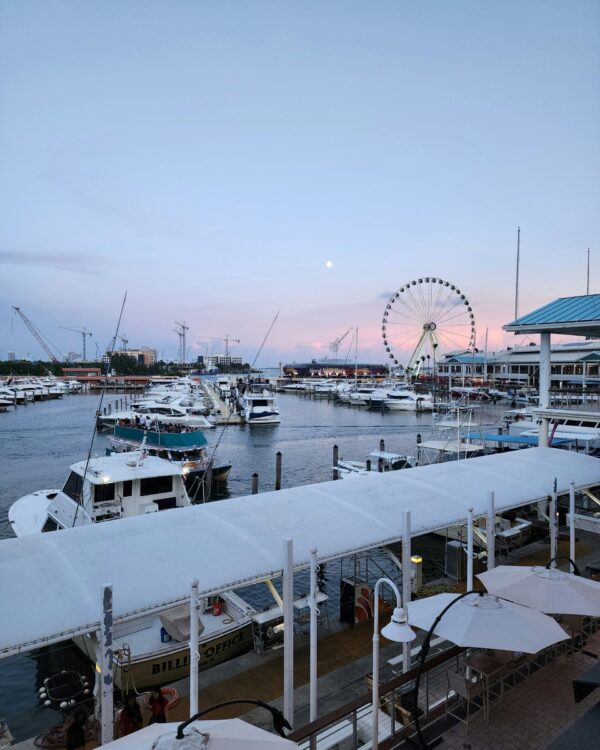destin-access-miami-nicolas-martin-wr72L4QVH_E-unsplash